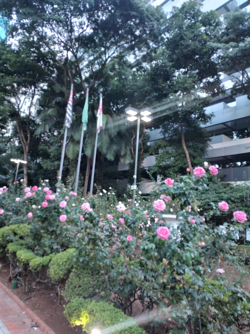 A beautiful garden with blooming pink roses and lush greenery in front of a modern building.