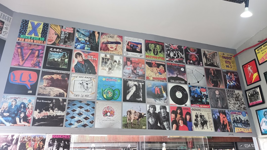 A wall covered with framed vinyl record covers, many signed by artists.
