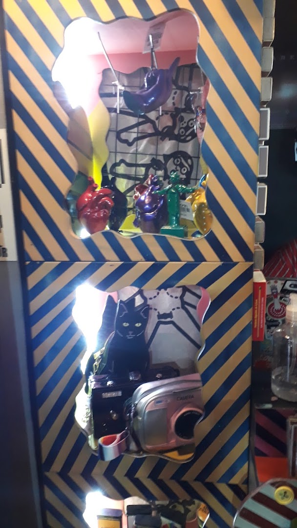 A display featuring quirky items like a black cat, cameras, and anatomical hearts.