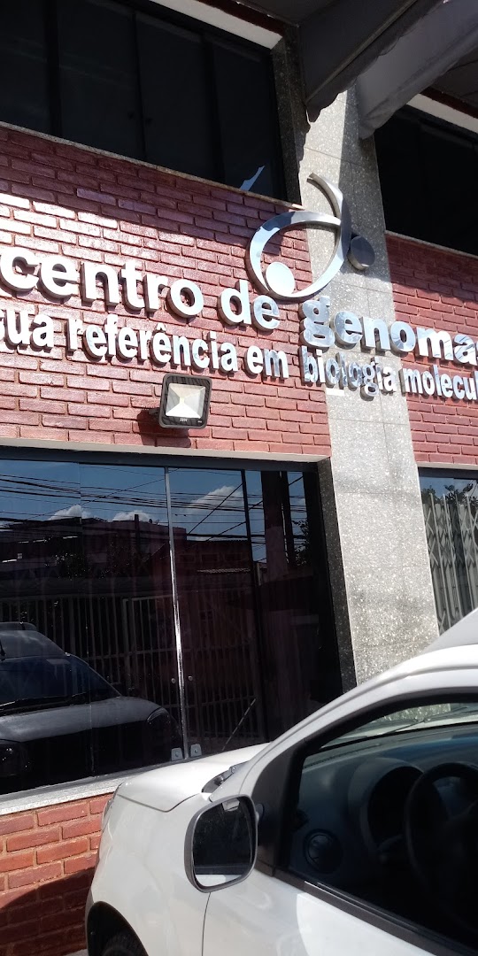 MOTOBOY CENTRO SP DUAS RODAS TRANSPORTES