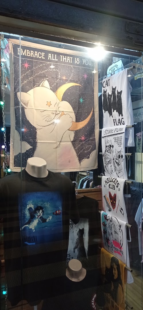Seven Cats