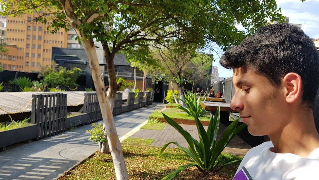 A young man sits outdoors with a tree and urban buildings in the background.