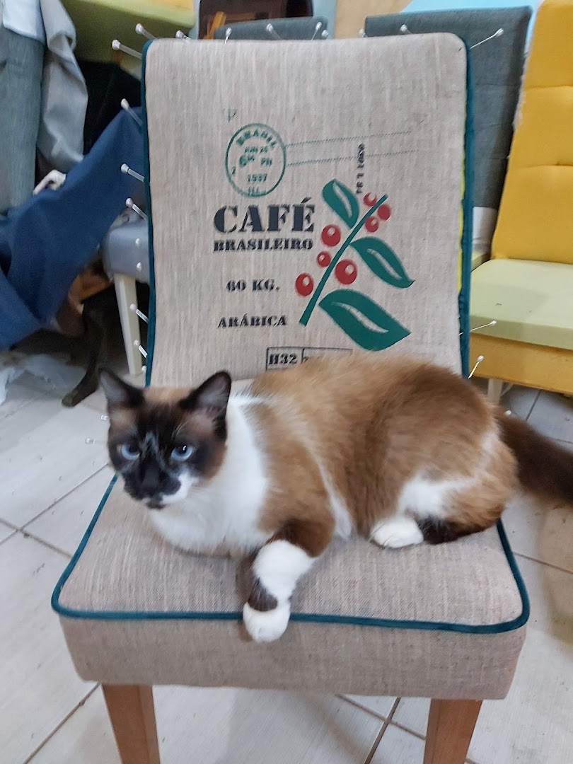 A Siamese cat rests on a chair upholstered with a coffee sack design.